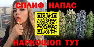 Альфа ПВП Новокубанск