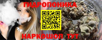 мдпв Новозыбков