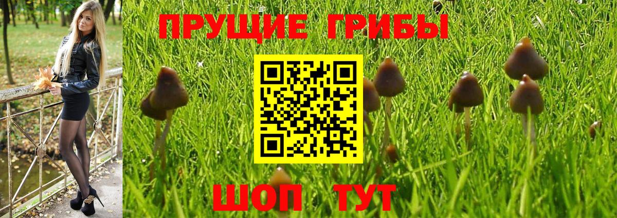 Псилоцибиновые грибы Magic Shrooms Бердск