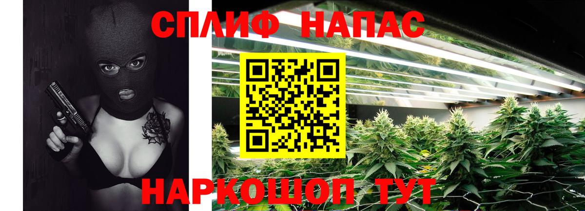 Канабис тримм  Вход с VPN  МАРИХУАНА тримм  Канабис тримм  Бердск 